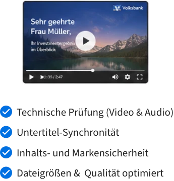 Video-Vorschau mit Prüfpunkten für Qualität und Validation